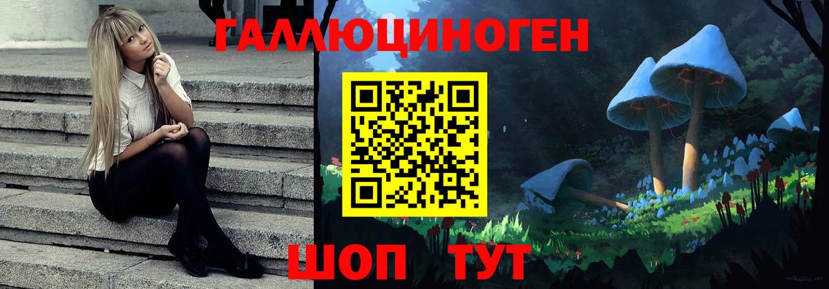 Галлюциногенные грибы Magic Shrooms  Галлюциногенные грибы GOLDEN TEACHER  Вязники  сколько стоит  Вход с VPN 