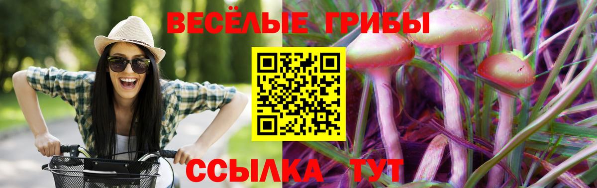 Псилоцибиновые грибы мухоморы Вязники